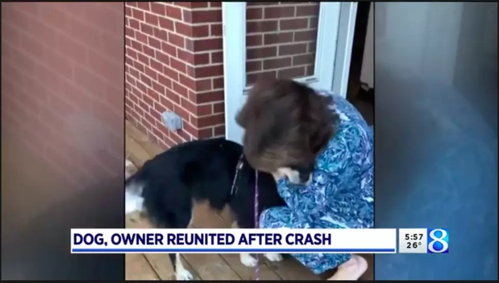 #PeopleDoingGood: Cascade Community Helps Find Lost Dog