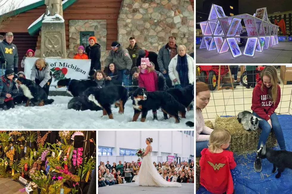 Things To Do in West Michigan This Weekend: January 27-29, 2023