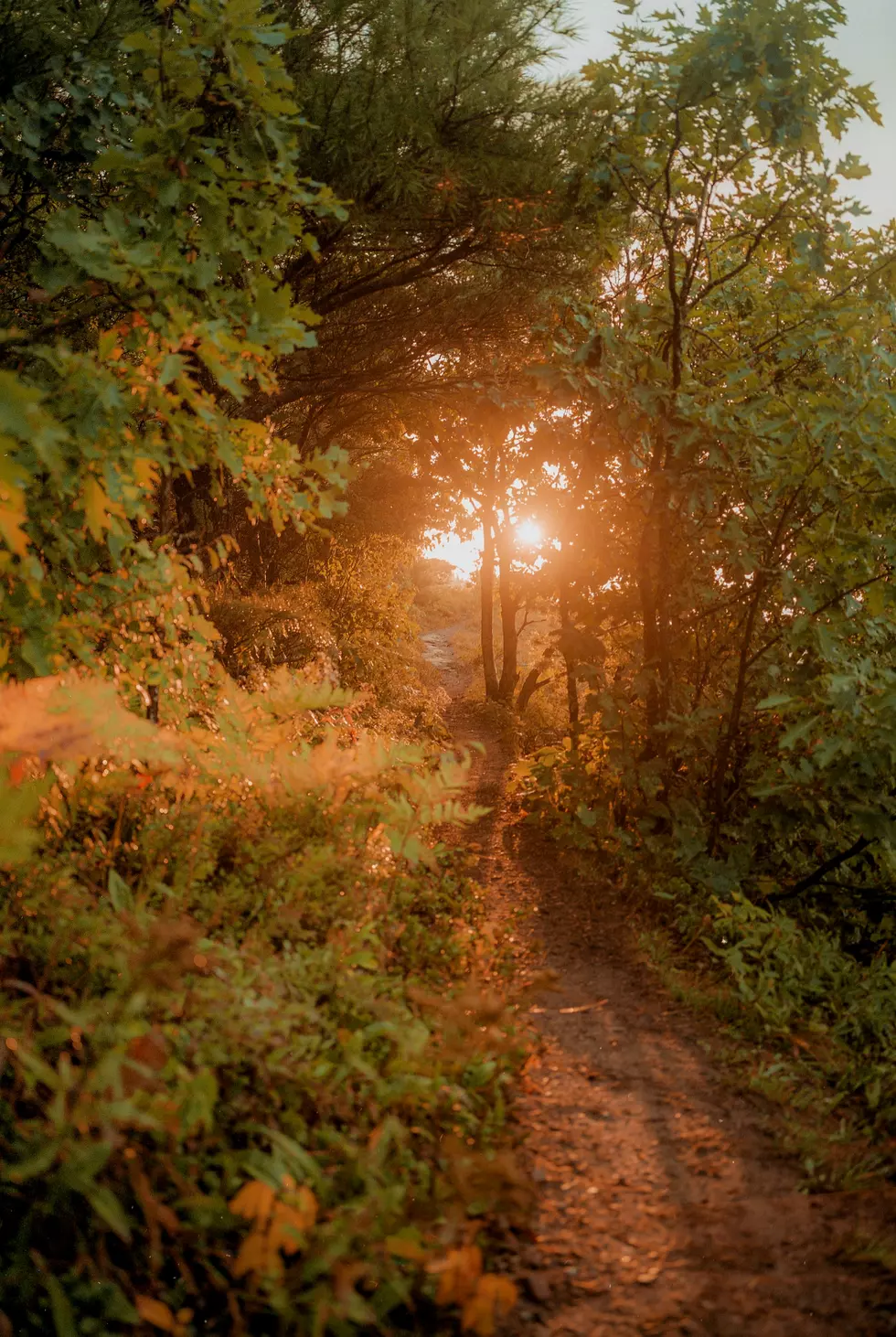Rugged Stretch of Northern Michigan Among Deepest, Most Remote Wilderness in the Nation