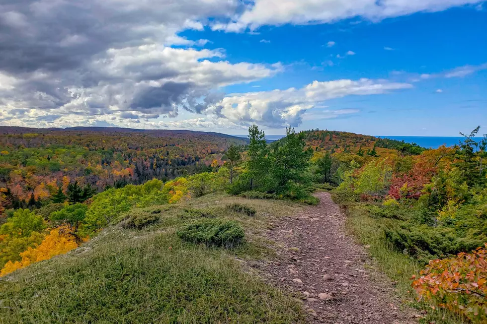 Who Owns More Land Than Anyone Else in Michigan?